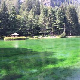 ristorante lago gover