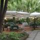 Снимок Trattoria Bolognesi Da Melania, Кастрокаро-Терме