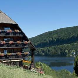 Restaurant Alemannenhof