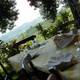 Снимок Trattoria Enoteca Madonna di Como, Альба