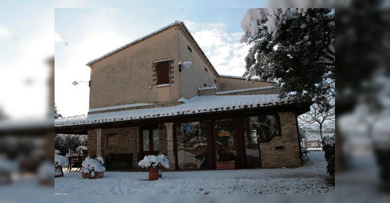 Снимок Agriturismo Col Morino, Пинето