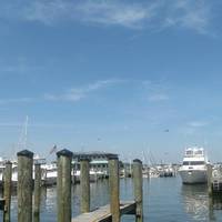 Annapolis Yacht Club