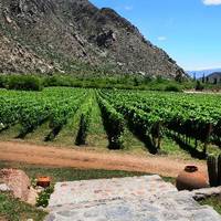 Finca las Nubes - Bodega Jose L. Mounier