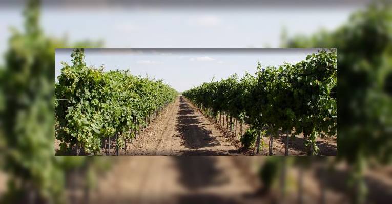Снимок Luna Rossa Winery & Pizzeria, Лас-Крусес