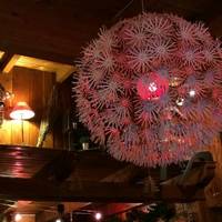 La Cabane des Neiges