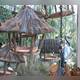 Снимок Paperbark Cafe, Мельбурн