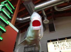 Joe's Crab Shack