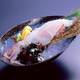 Снимок Zakoya - Kumamoto Tokyu Inn, Кумамото