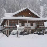 Colomion da Cipo