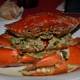 Перед ужином этот краб был весьма агрессивен. Нежнейшее мясо!