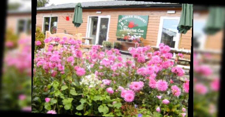 Снимок The Watering Can at Glenbarr Nursery, Tarbert