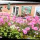 Снимок The Watering Can at Glenbarr Nursery, Tarbert