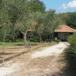 Il Castagneto