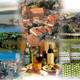 Снимок Prespa's, Арлингтон