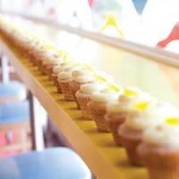 Treat Cupcake Bar