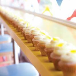 Treat Cupcake Bar