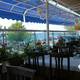 Изображение Dolphin Class Restaurant, Стамбул