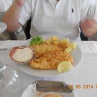 Ivo