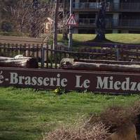 Le Miedzor