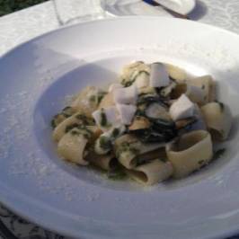 tenuta cipressi e olivi