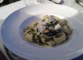 tenuta cipressi e olivi