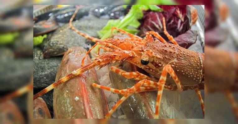 Снимок la tortuga, Виареджо