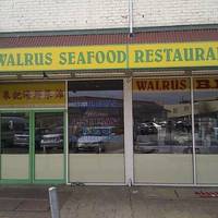Walrus