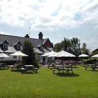 The John Barleycorn