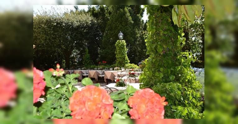 Изображение La Locanda degli Olmi, Рокка-ди-Папа
