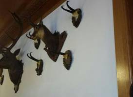 Grauer Bar