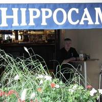 L'Hippocampe