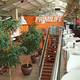 Снимок Primi Life, Randburg