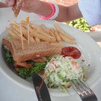 The Sailing Cow Cafe