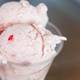 Снимок Fresh Local Ice Cream, Raleigh