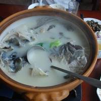 Qiandao Lake Fish Gallery