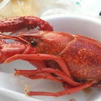 Remember Prawns