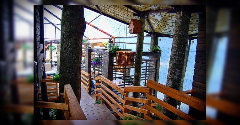 Снимок Forest Restaurant, Синая