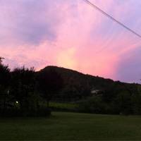 Alla Vigna