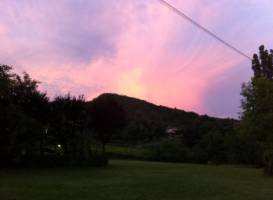 Alla Vigna