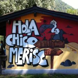 Hola Chico Merisc