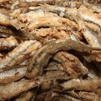 Panittica Pugliese