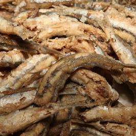 Panittica Pugliese