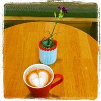 Coffeeberry