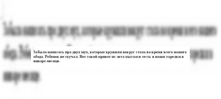 Две мухи надоедали во время обеда.