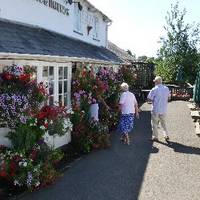 Hare and Hounds