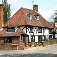 The Walnut Tree