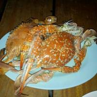 Madame Green Seafood