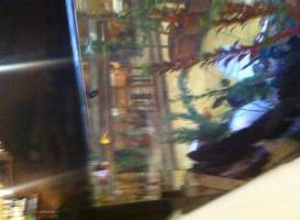 Ristorante Al Gambero