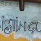 Изображение Bistingo, Камольи
