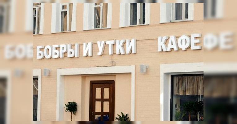 Бобры и утки